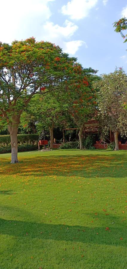 Sakkara Country Club Hotel El Hawamdeya 外观 照片